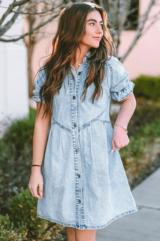 Mineral Ruffled Short Sleeve Buttoned Denim Dress