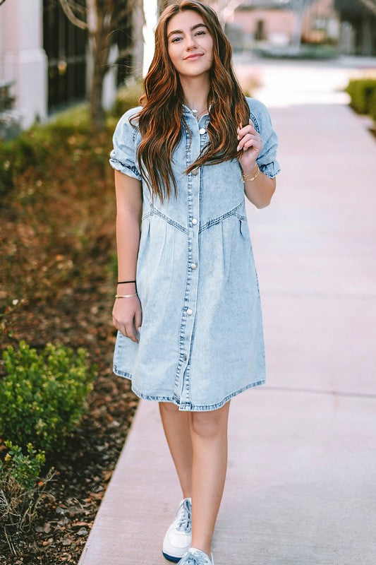 Mineral Ruffled Short Sleeve Buttoned Denim Dress