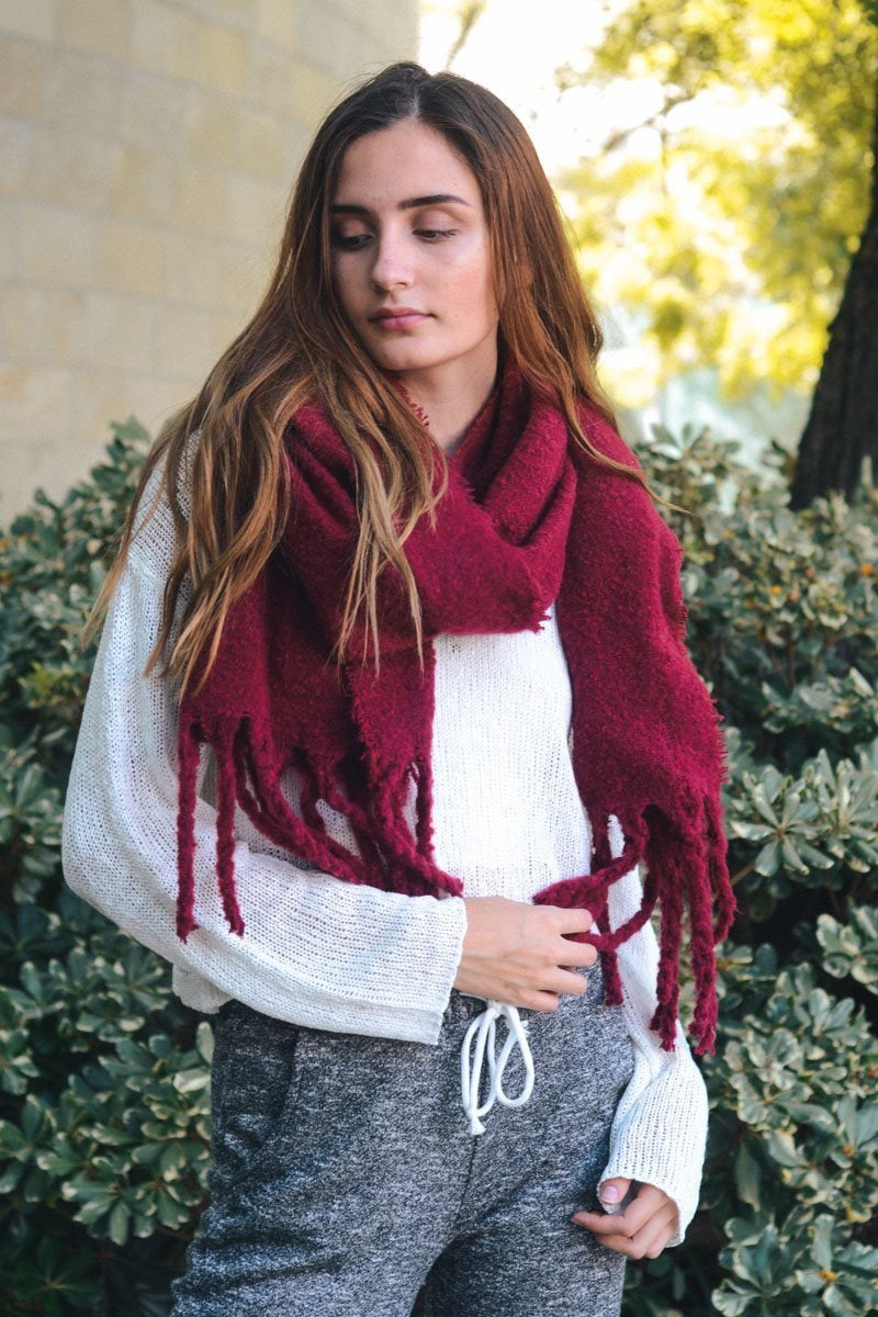 Tassel Trim Blanket Scarf Scarves